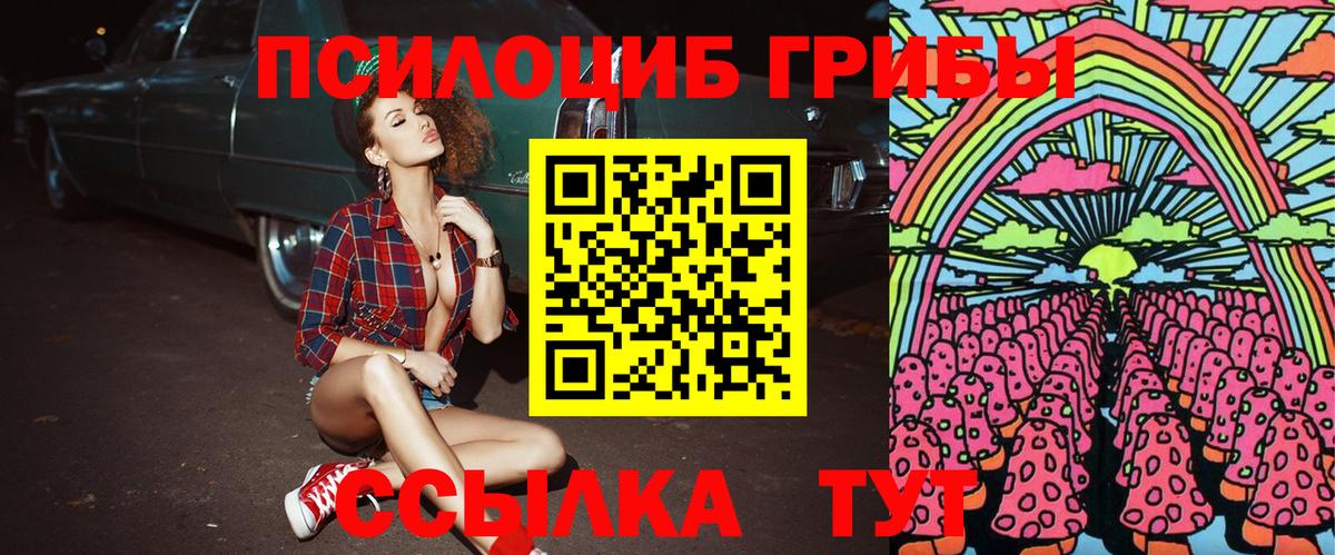 Псилоцибиновые грибы Magic Shrooms Ногинск